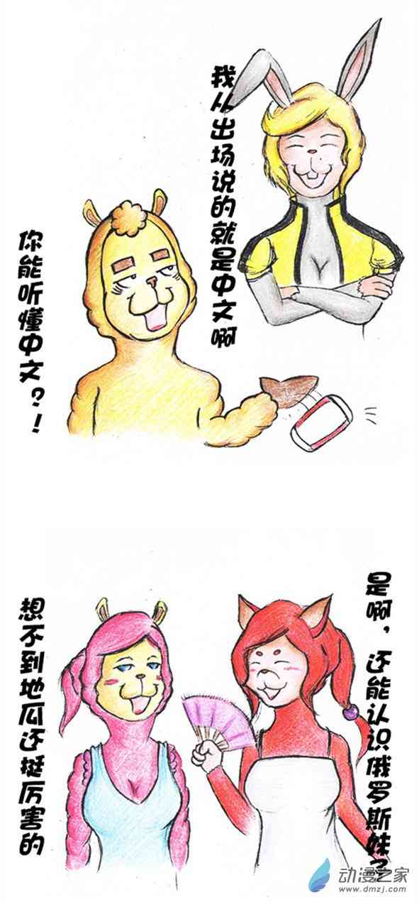 11.jpg
