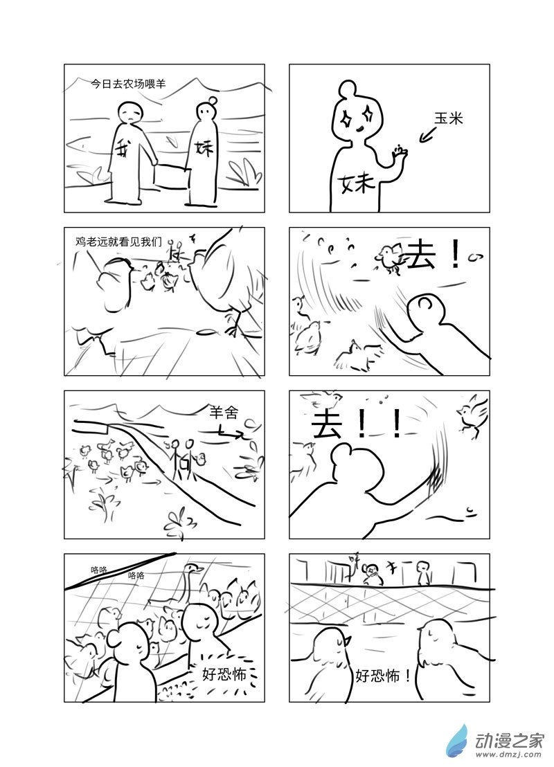 5.jpg