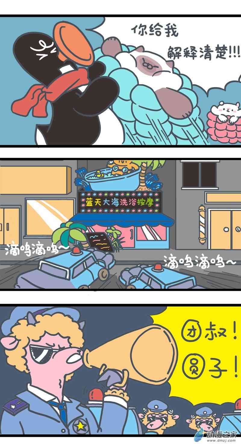 13.jpg