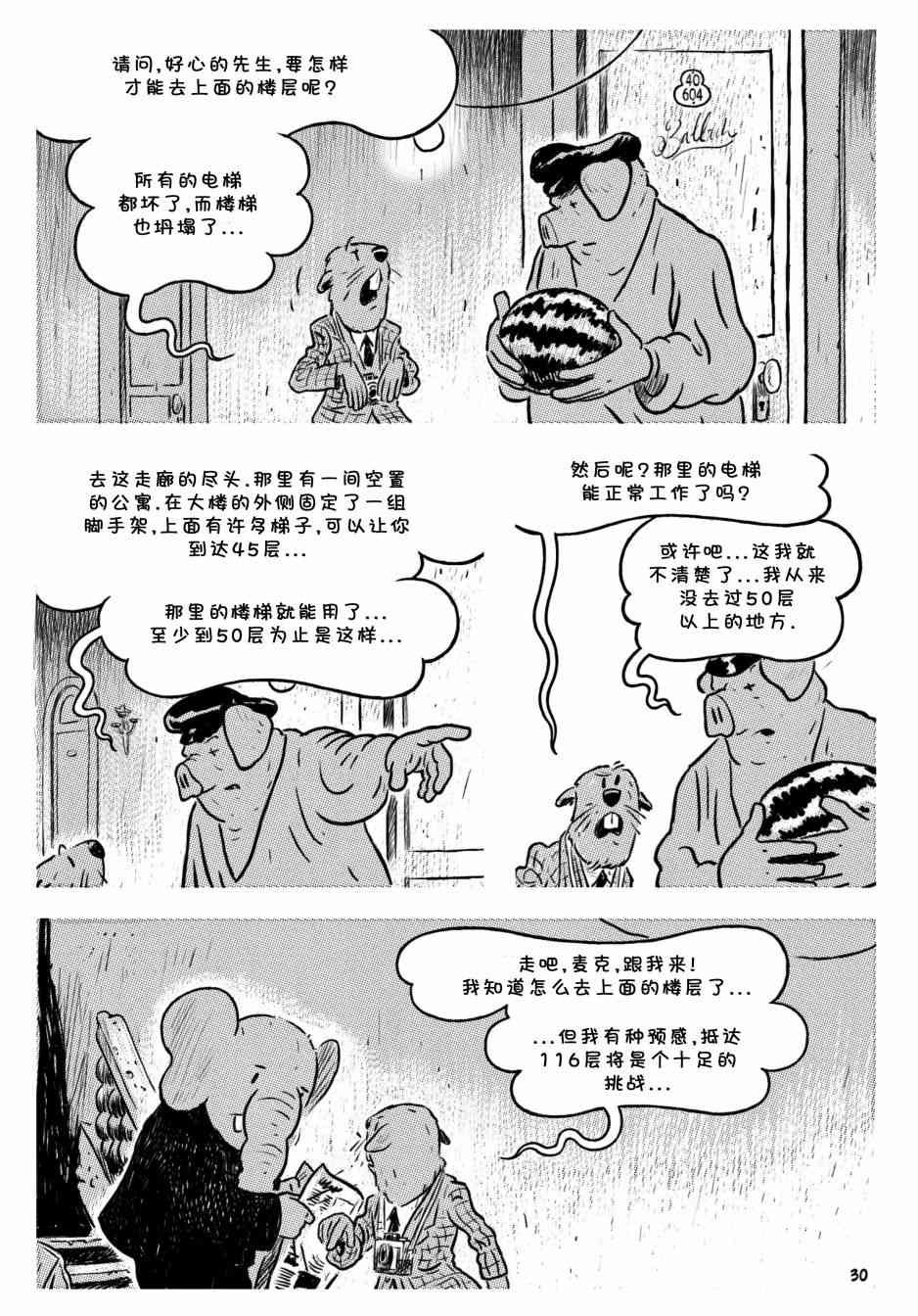13.jpg