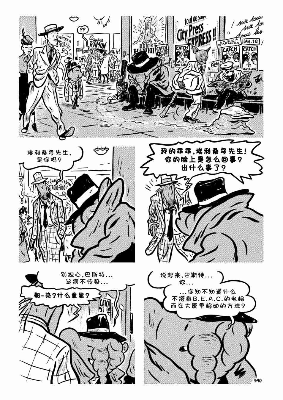 19.jpg
