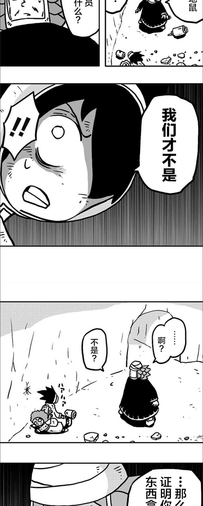 15.jpg