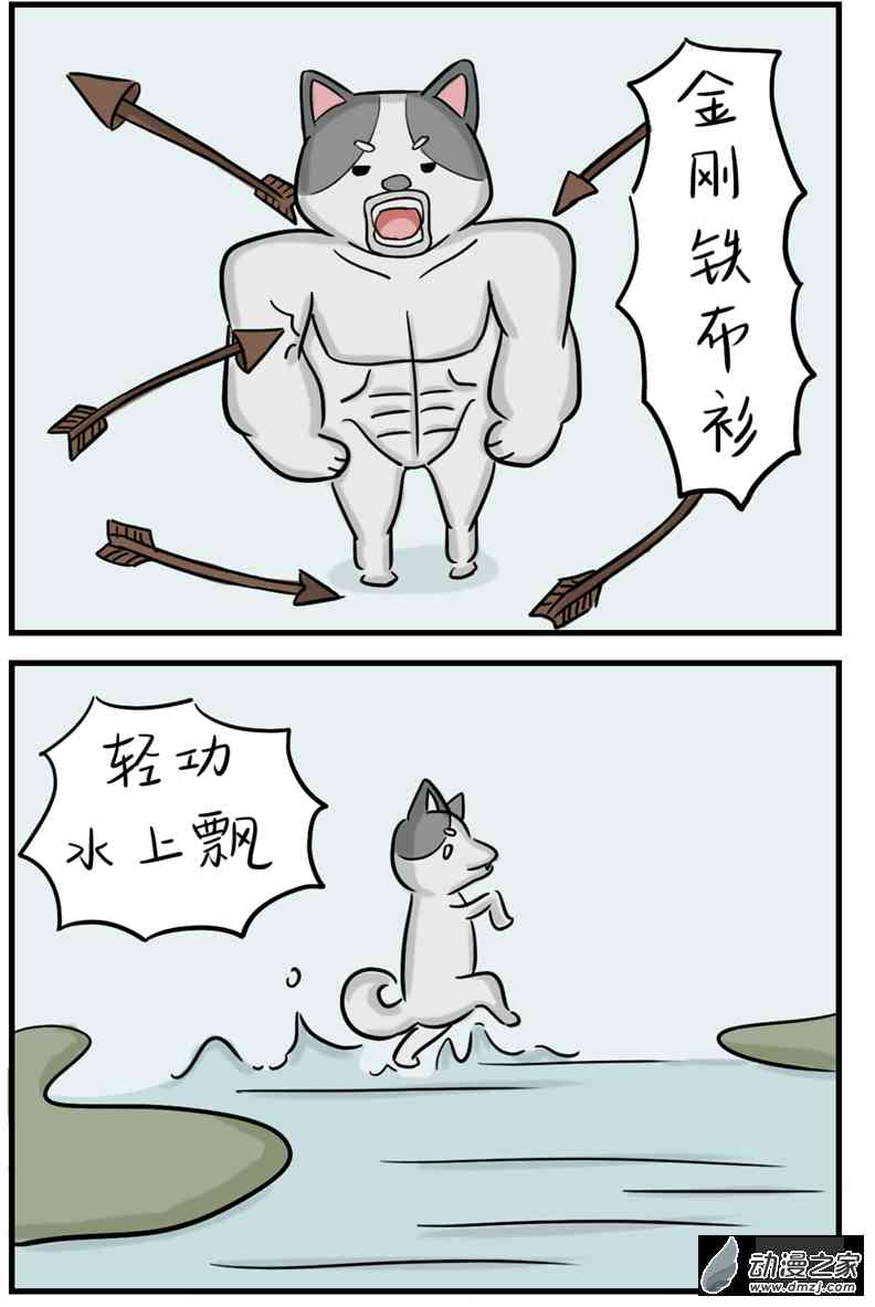 11.jpg