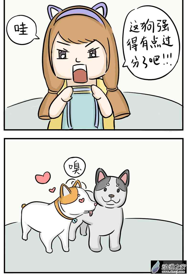 19.jpg