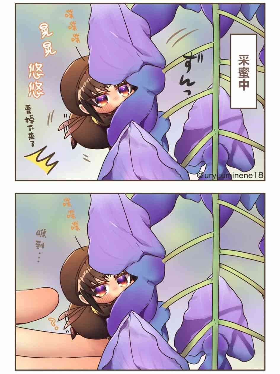 2.jpg