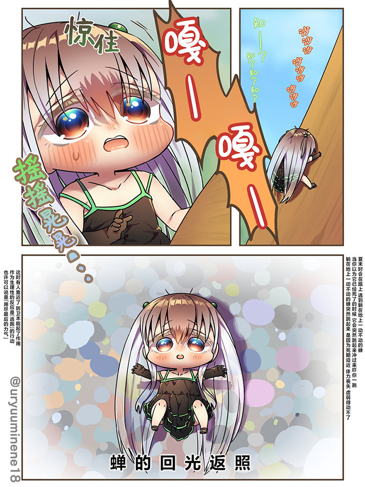 1.jpg