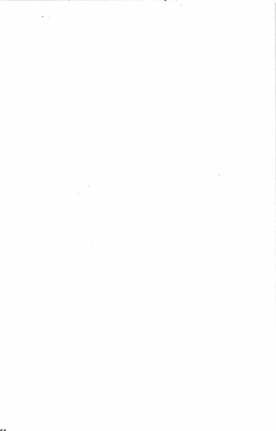 148.jpg