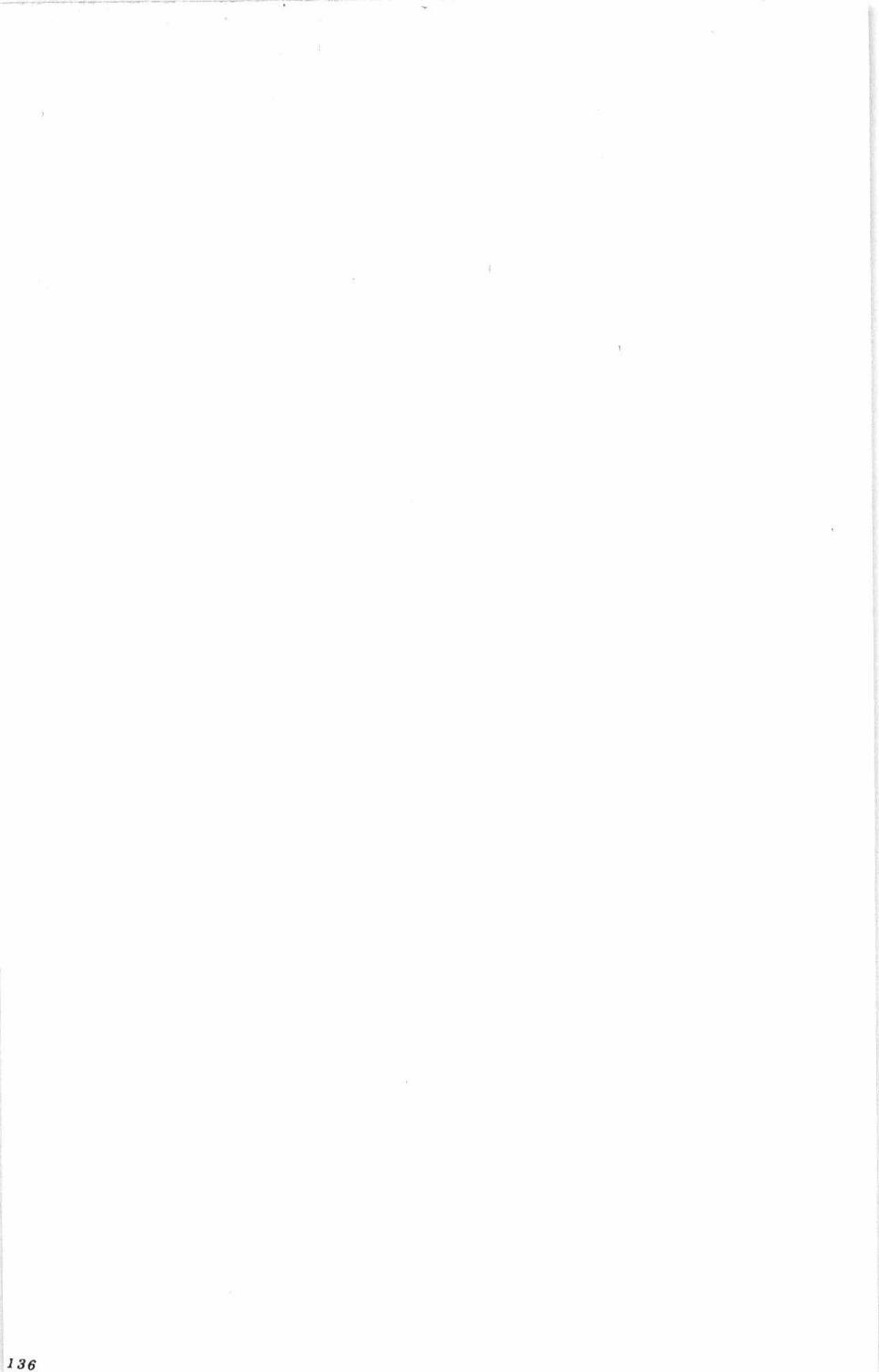284.jpg