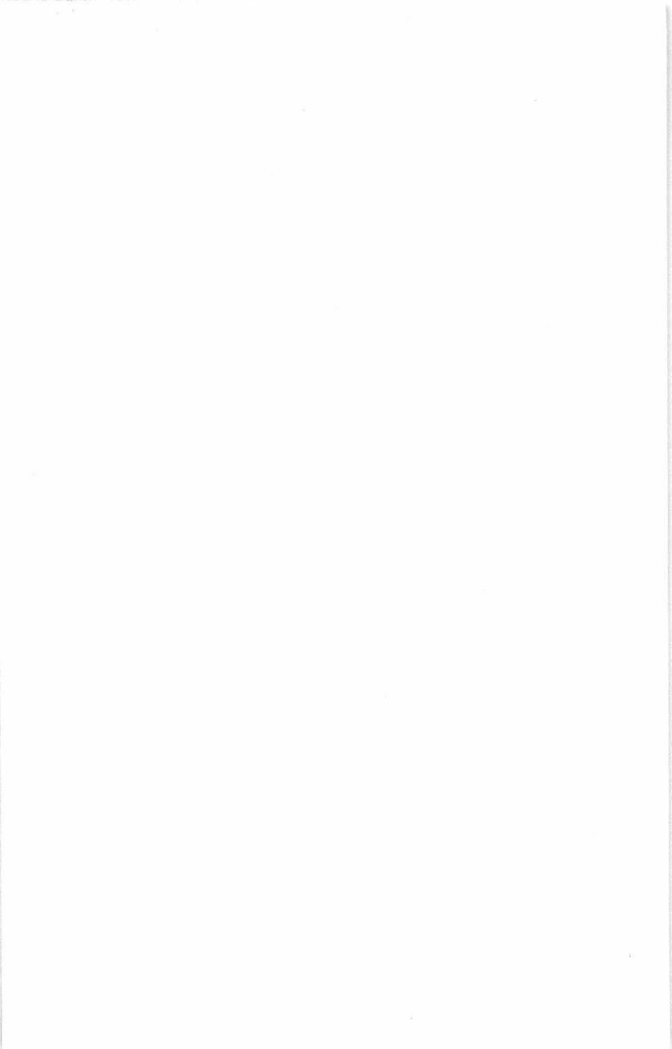 304.jpg