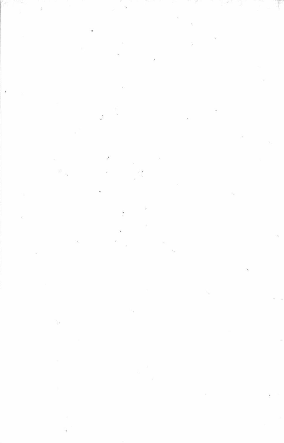 394.jpg