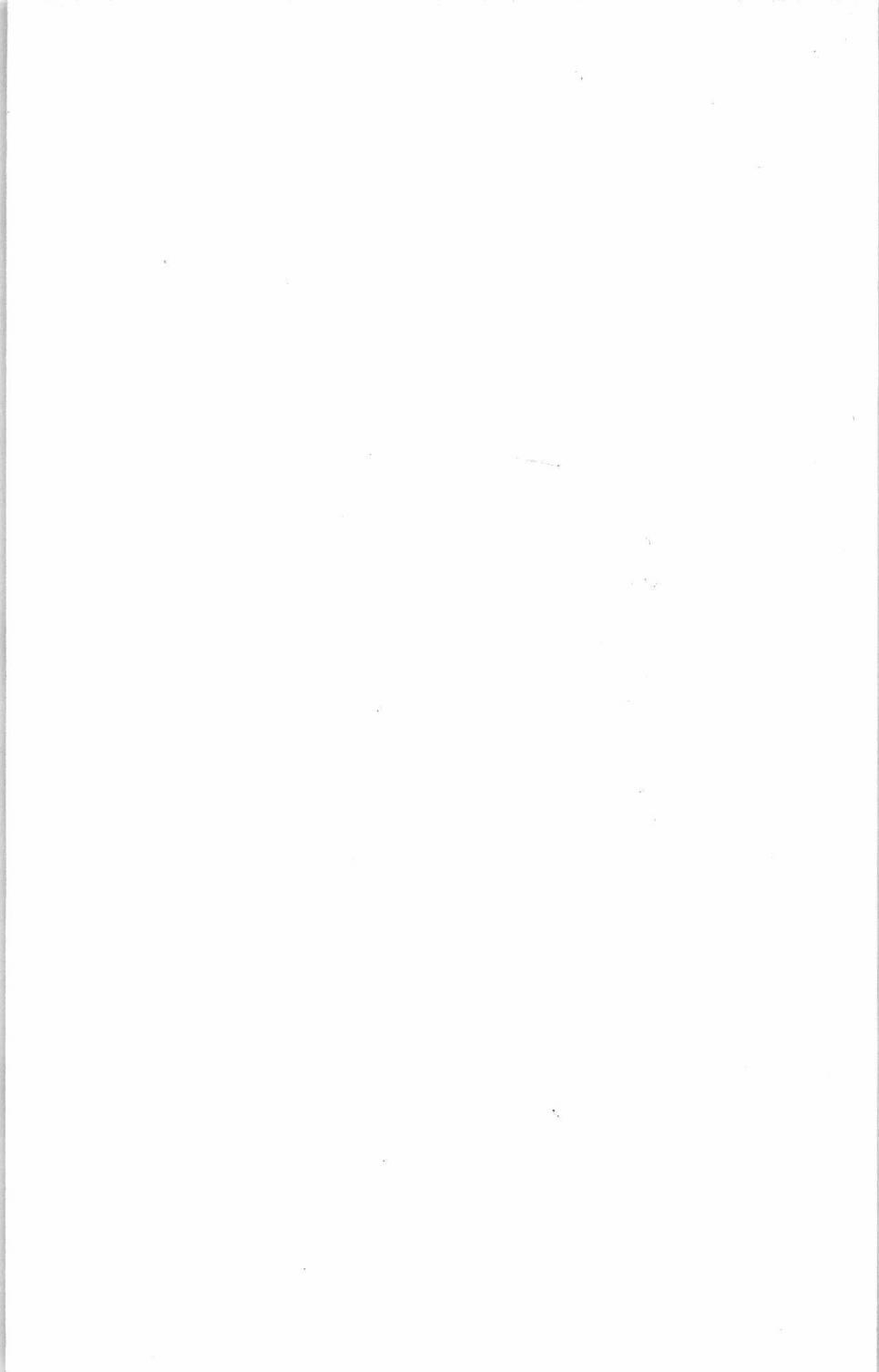 394.jpg