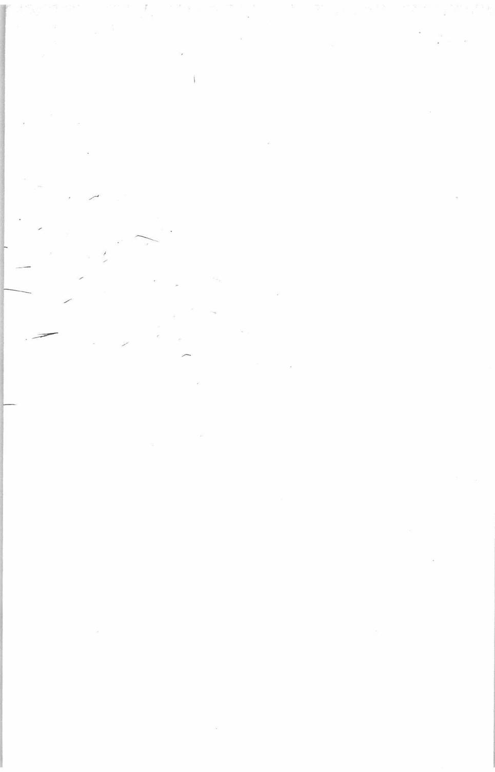 394.jpg