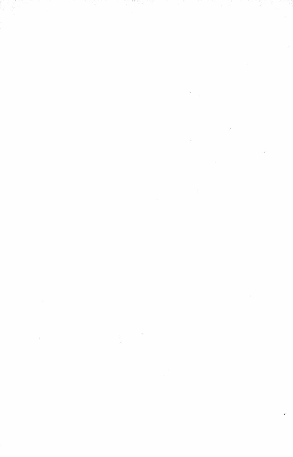 394.jpg