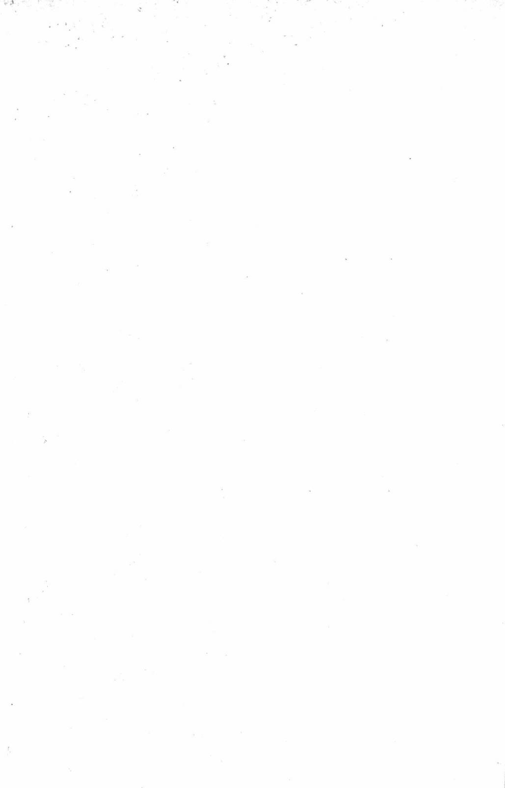 394.jpg