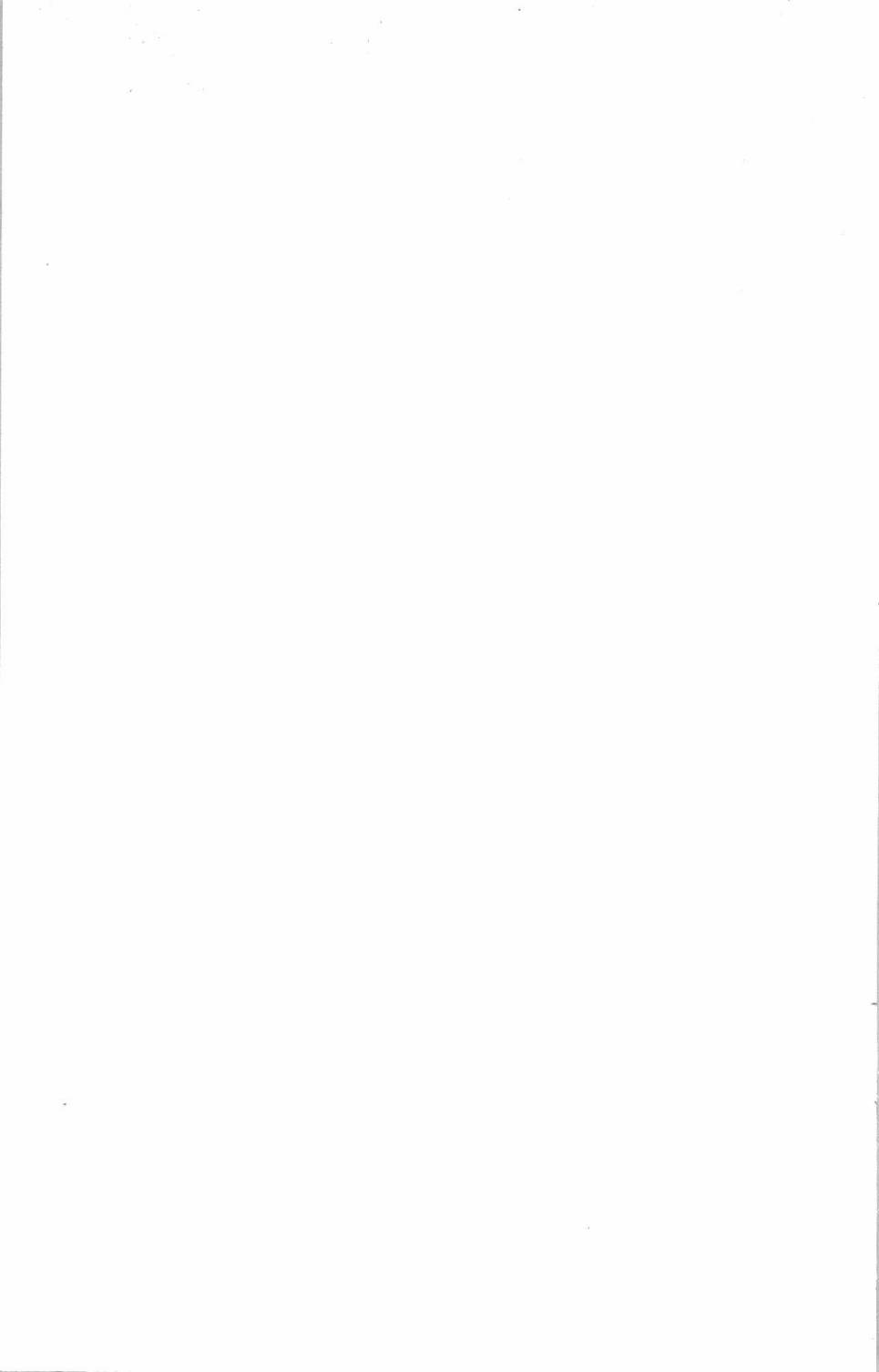 394.jpg