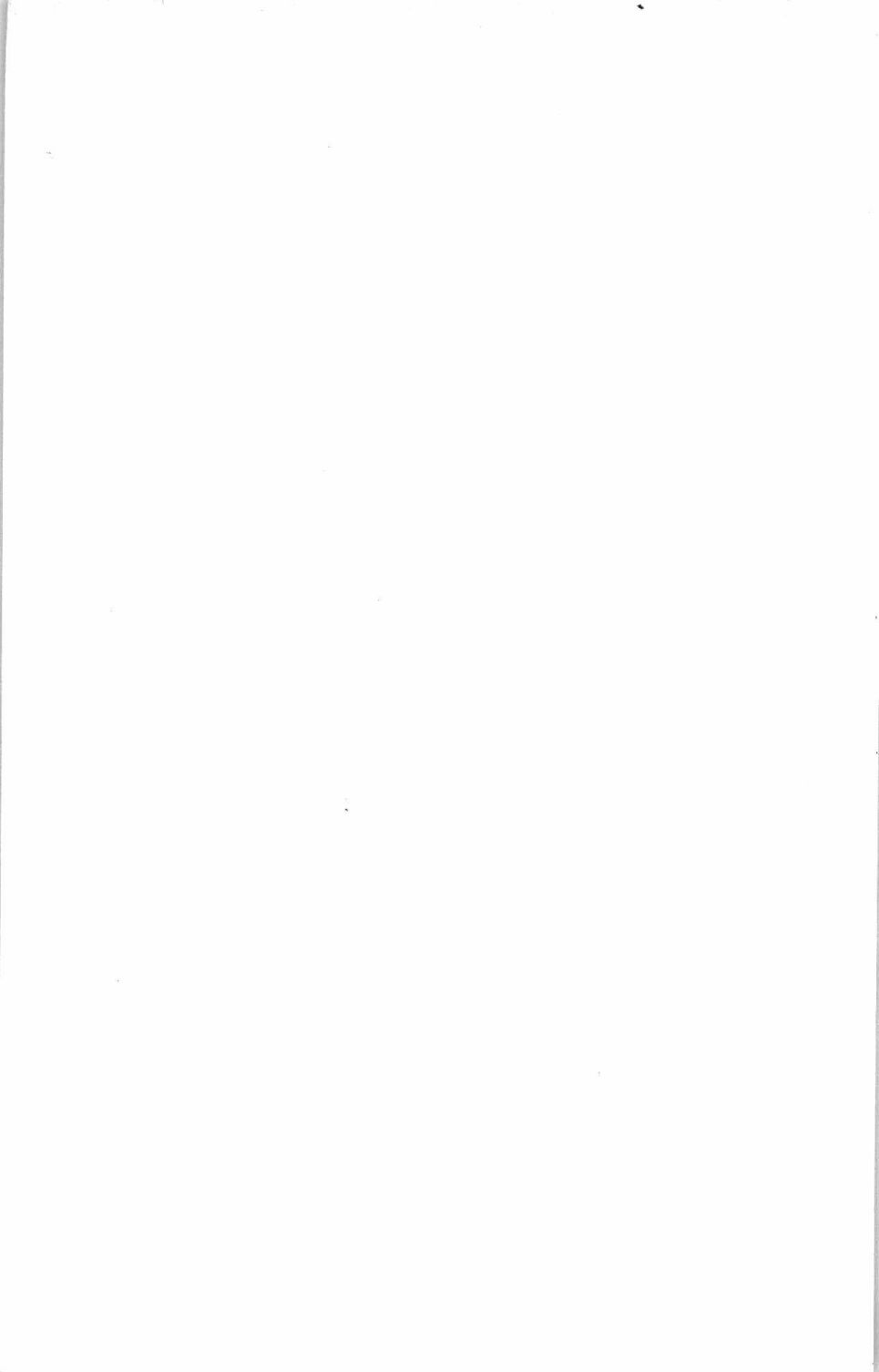 394.jpg