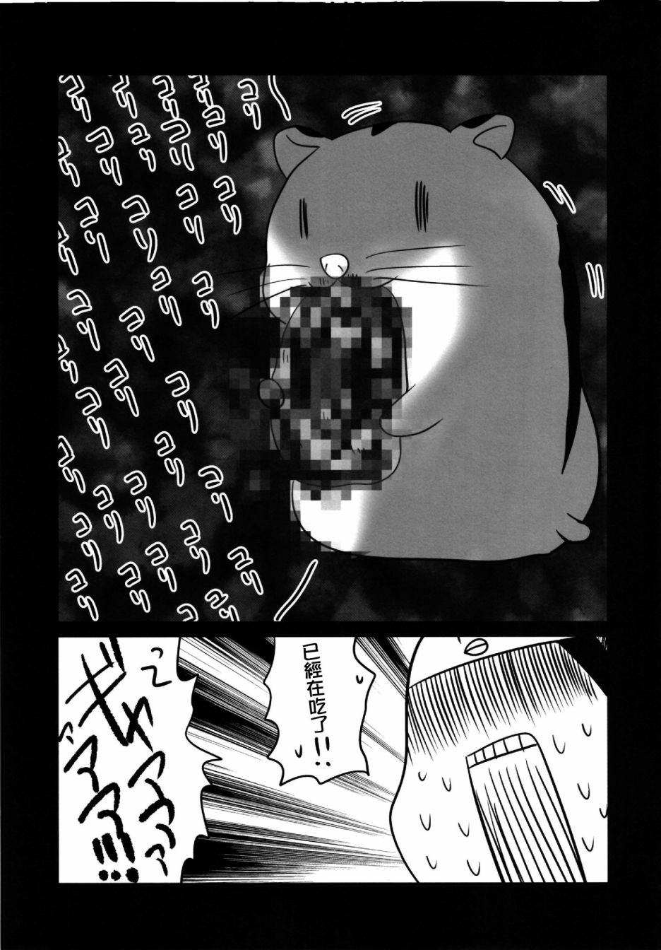 24.jpg