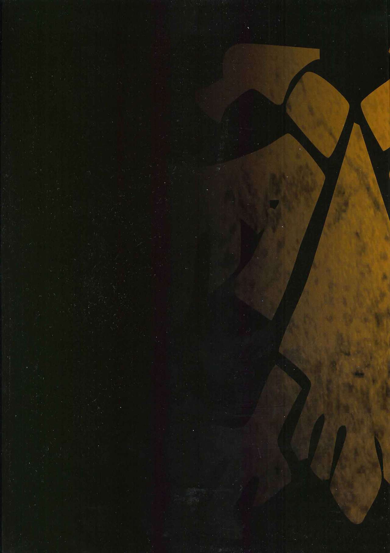 213.jpg