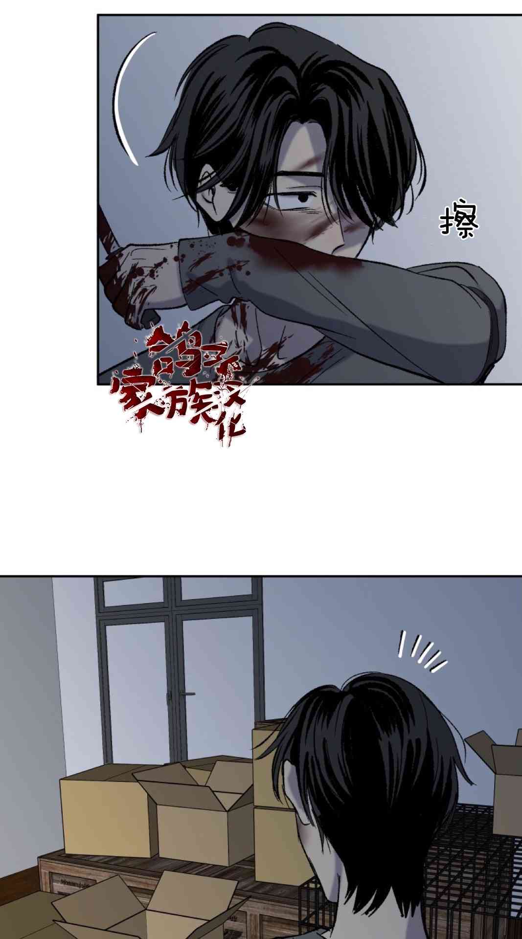 80.jpg