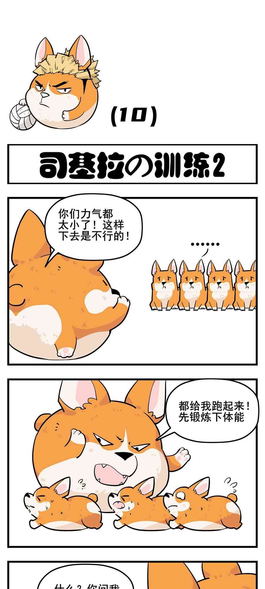 4.jpg