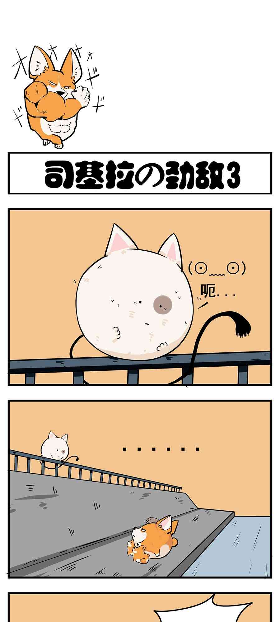 5.jpg