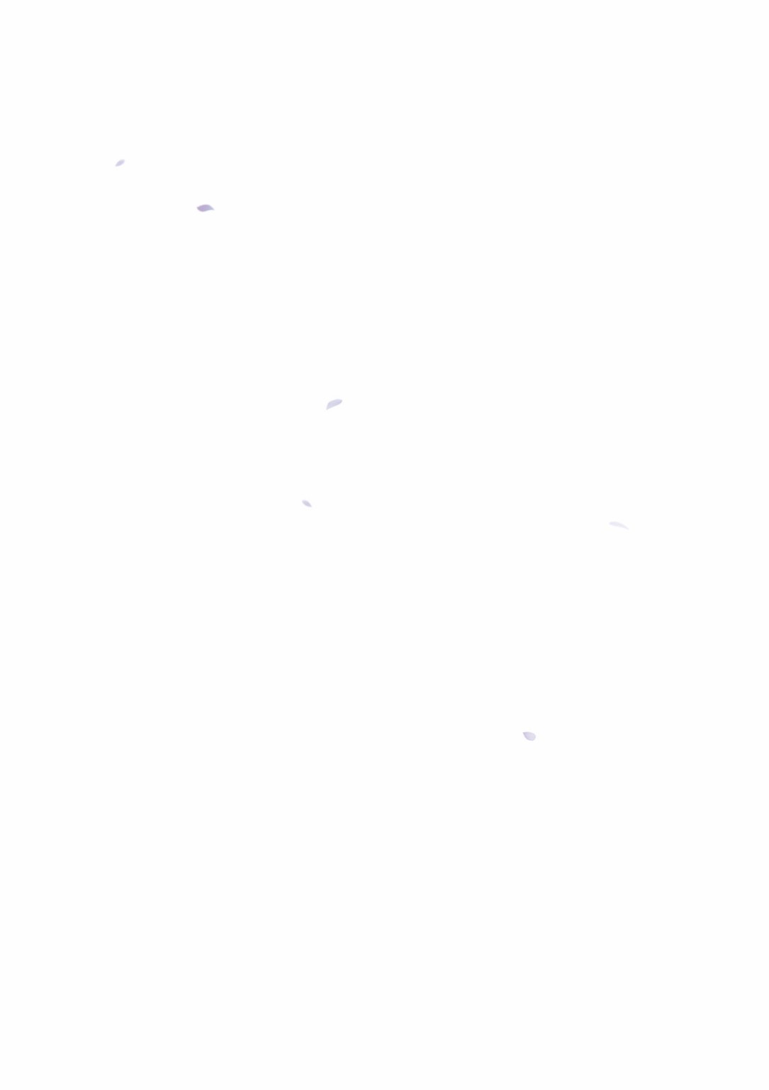 163.jpg