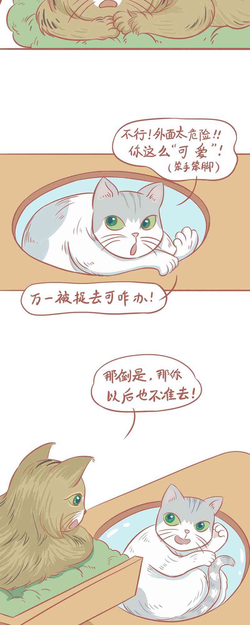 14.jpg
