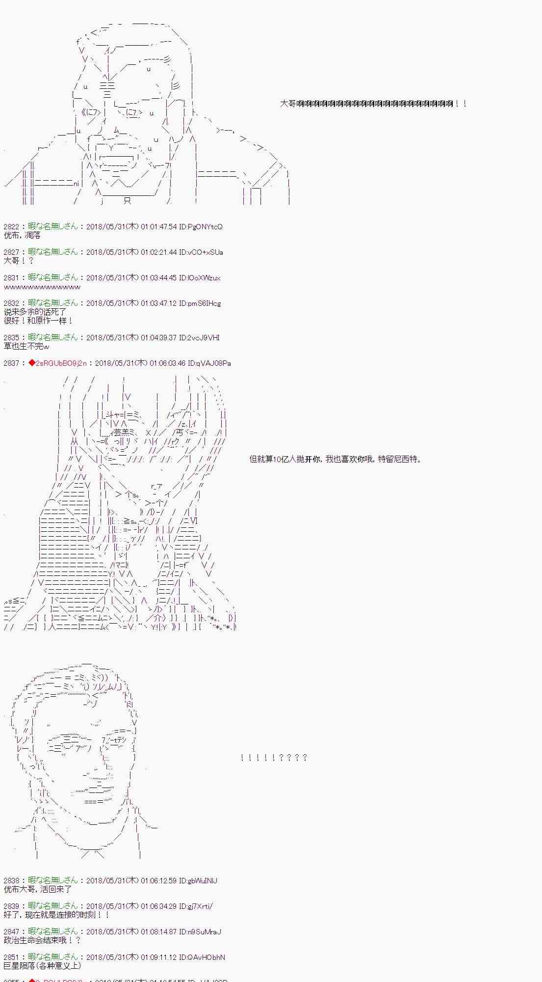 29.jpg
