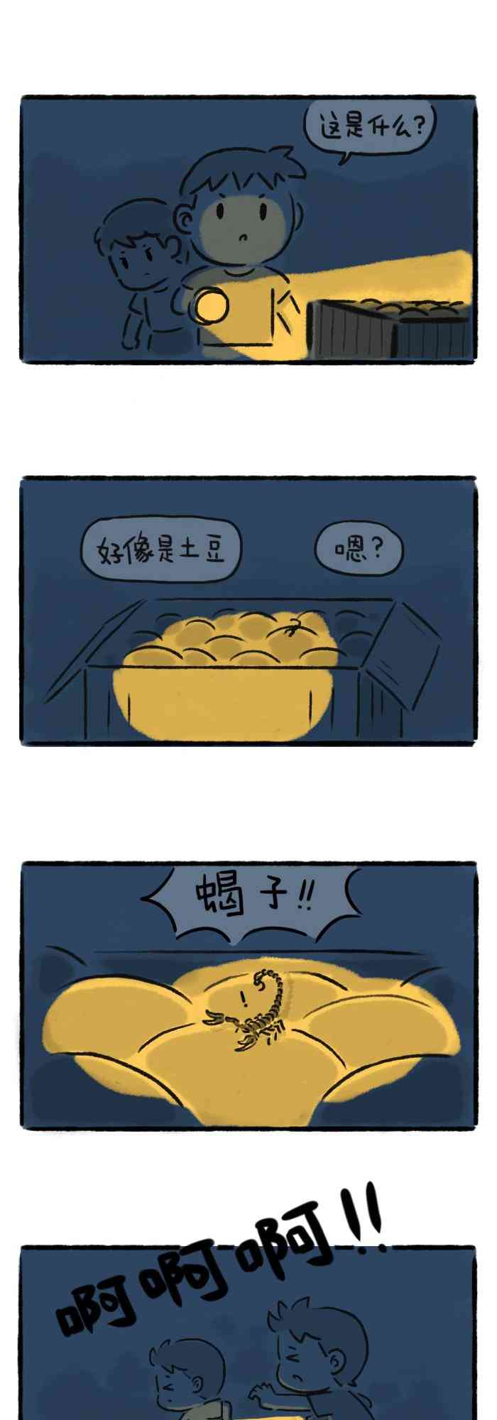 5.jpg