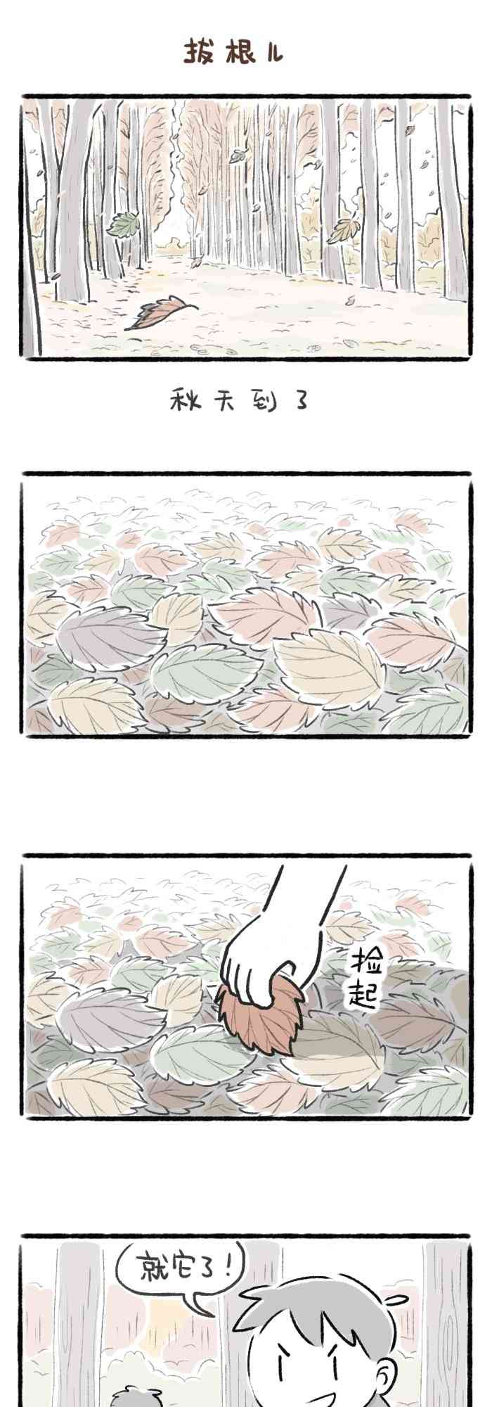 1.jpg
