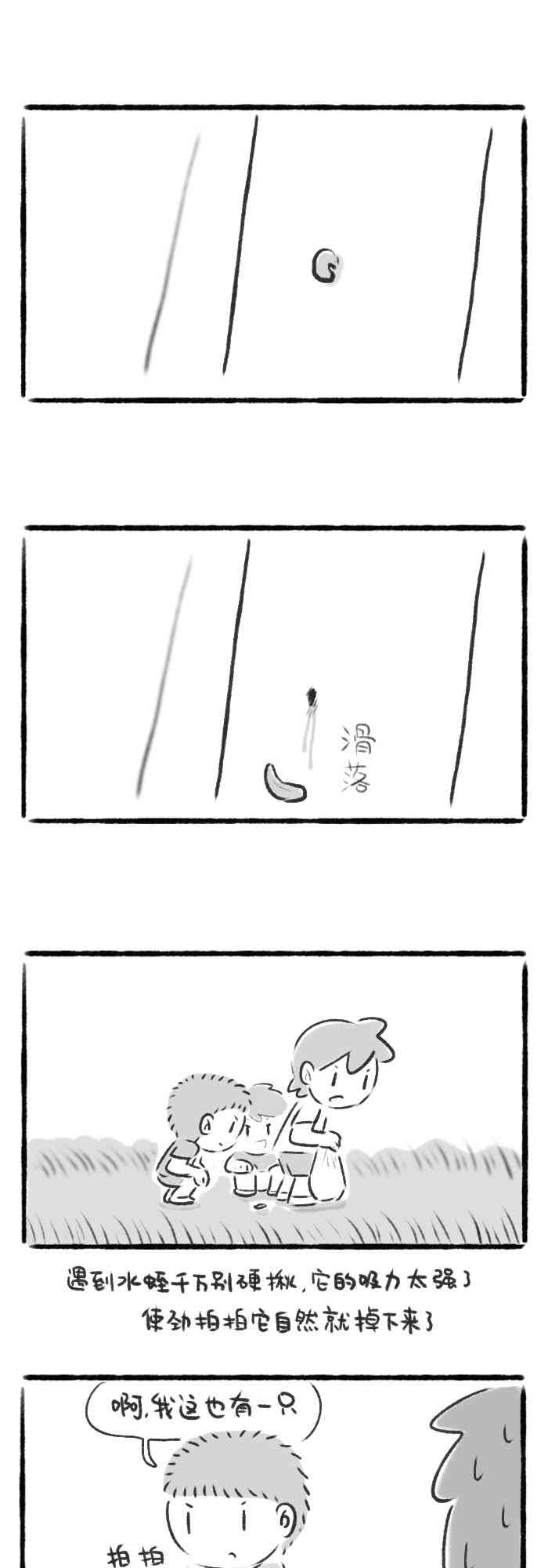 13.jpg
