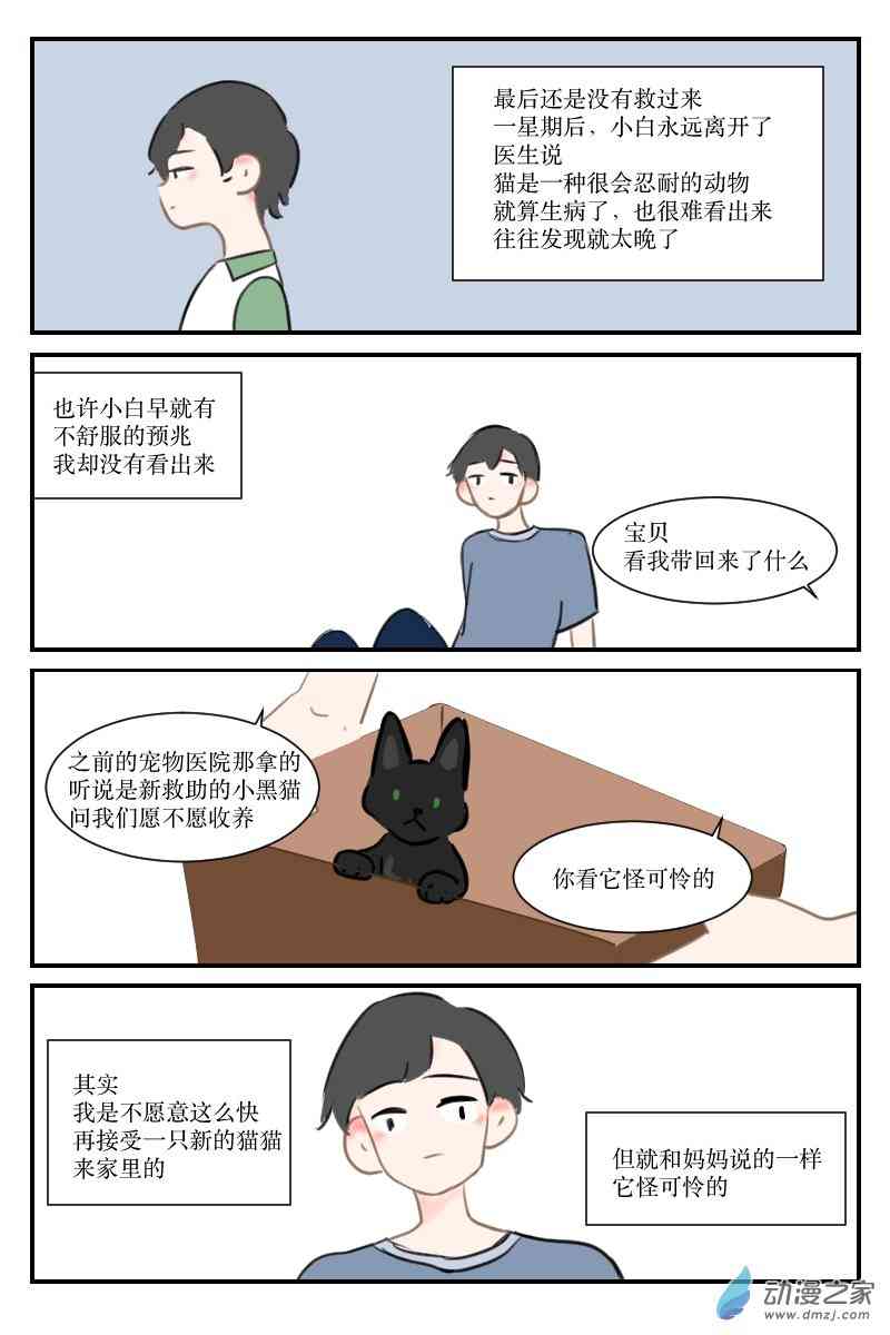 8.jpg