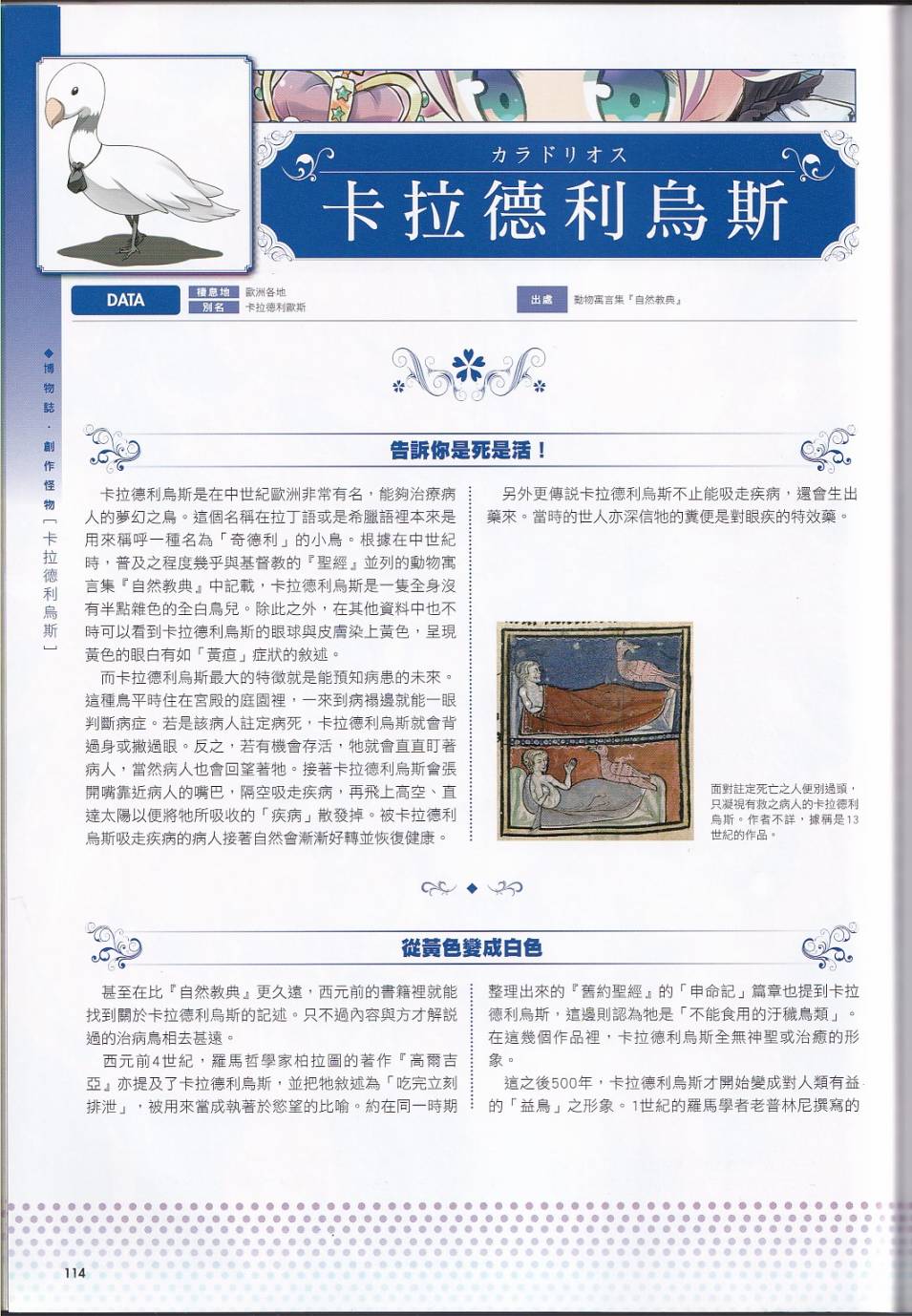 125.jpg