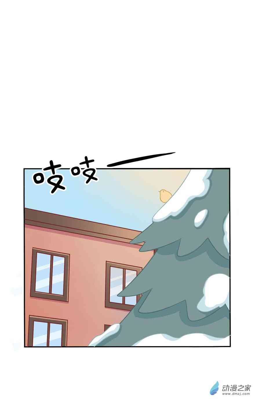25.jpg