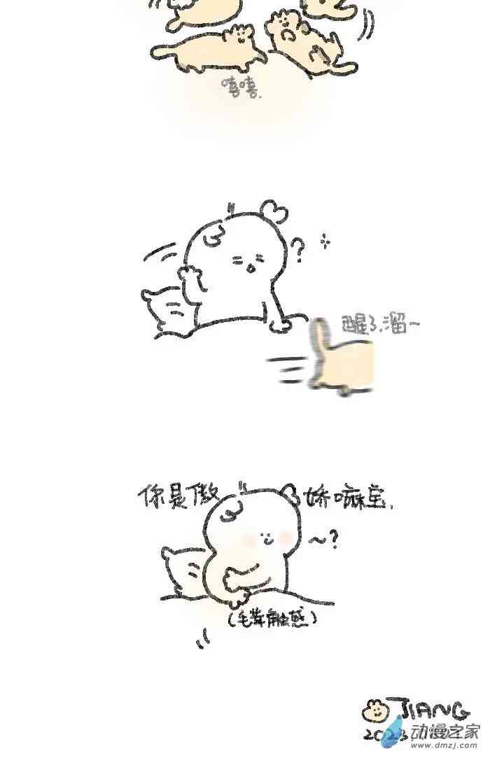 5.jpg