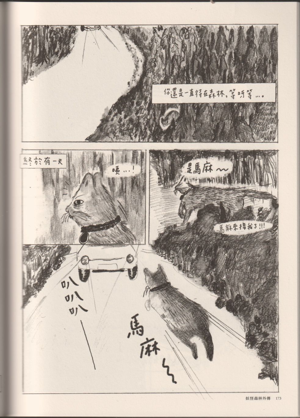193.jpg