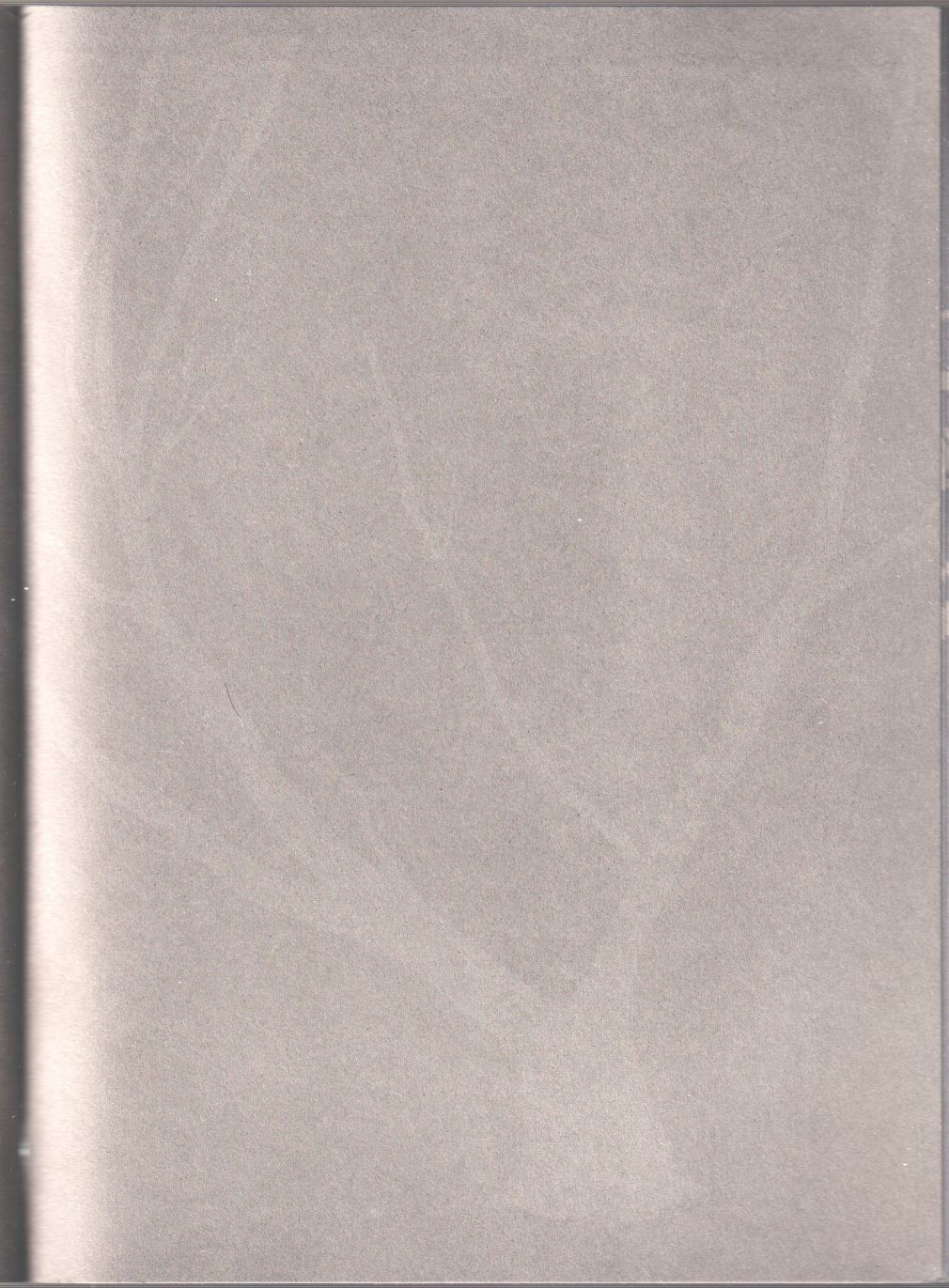 243.jpg