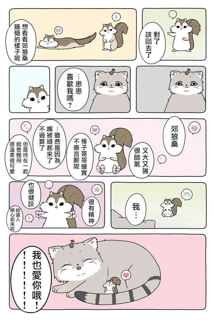 5.jpg