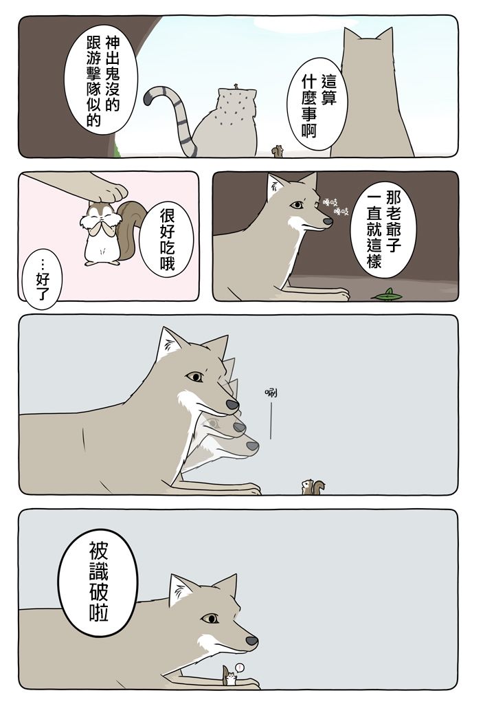 6.jpg