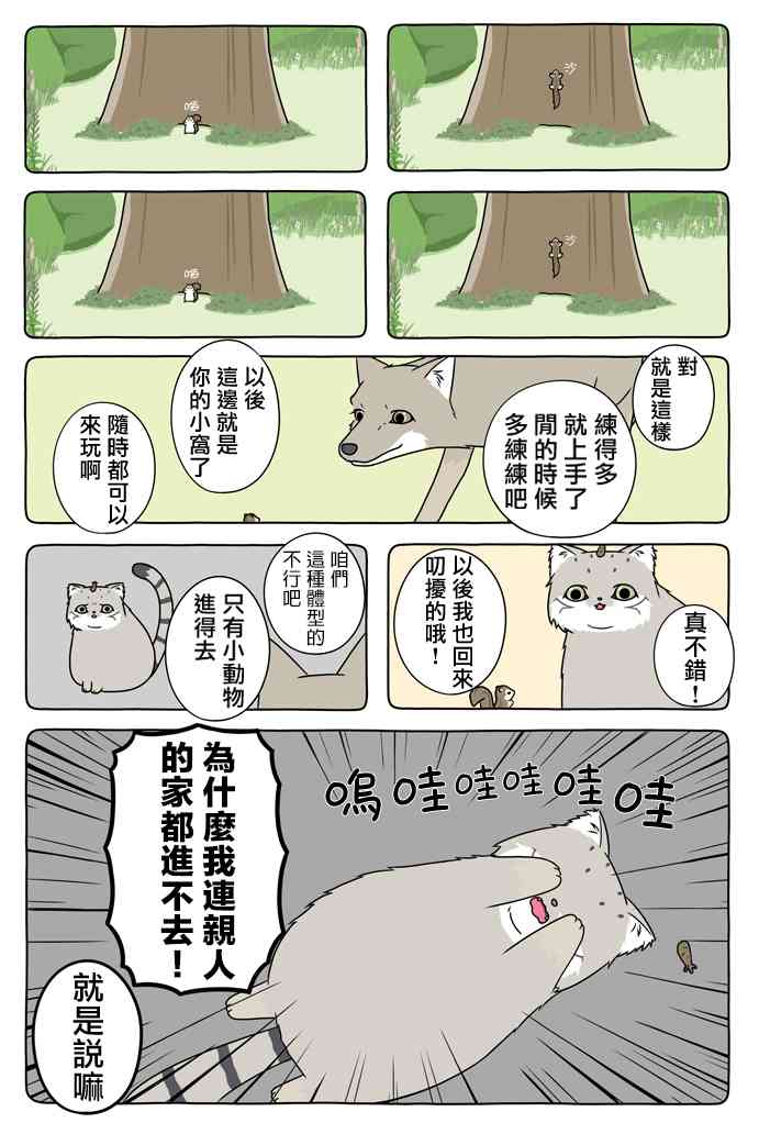 4.jpg