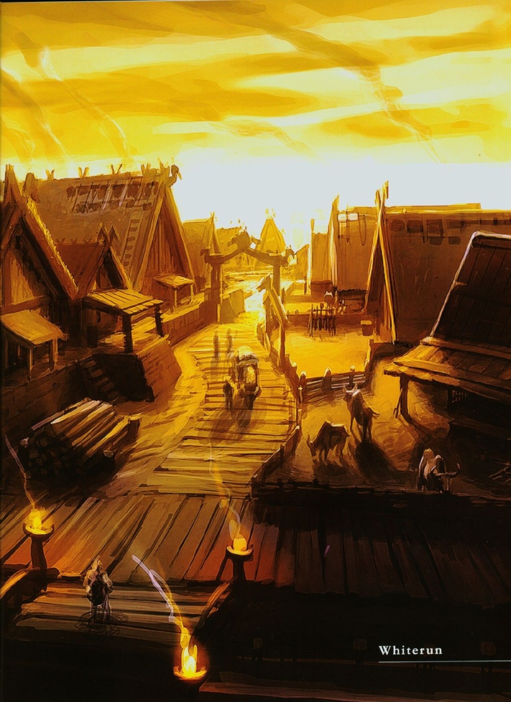 26.jpg