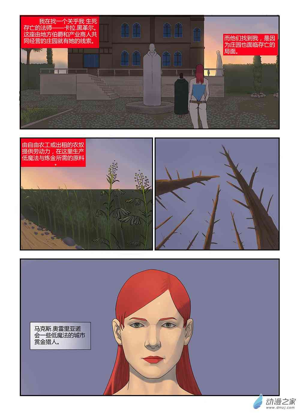 21.jpg
