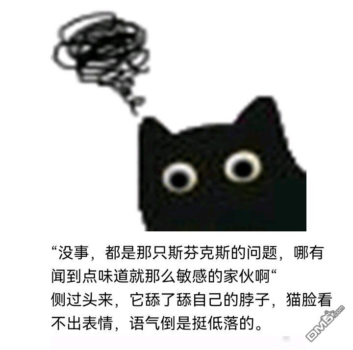 110.jpg