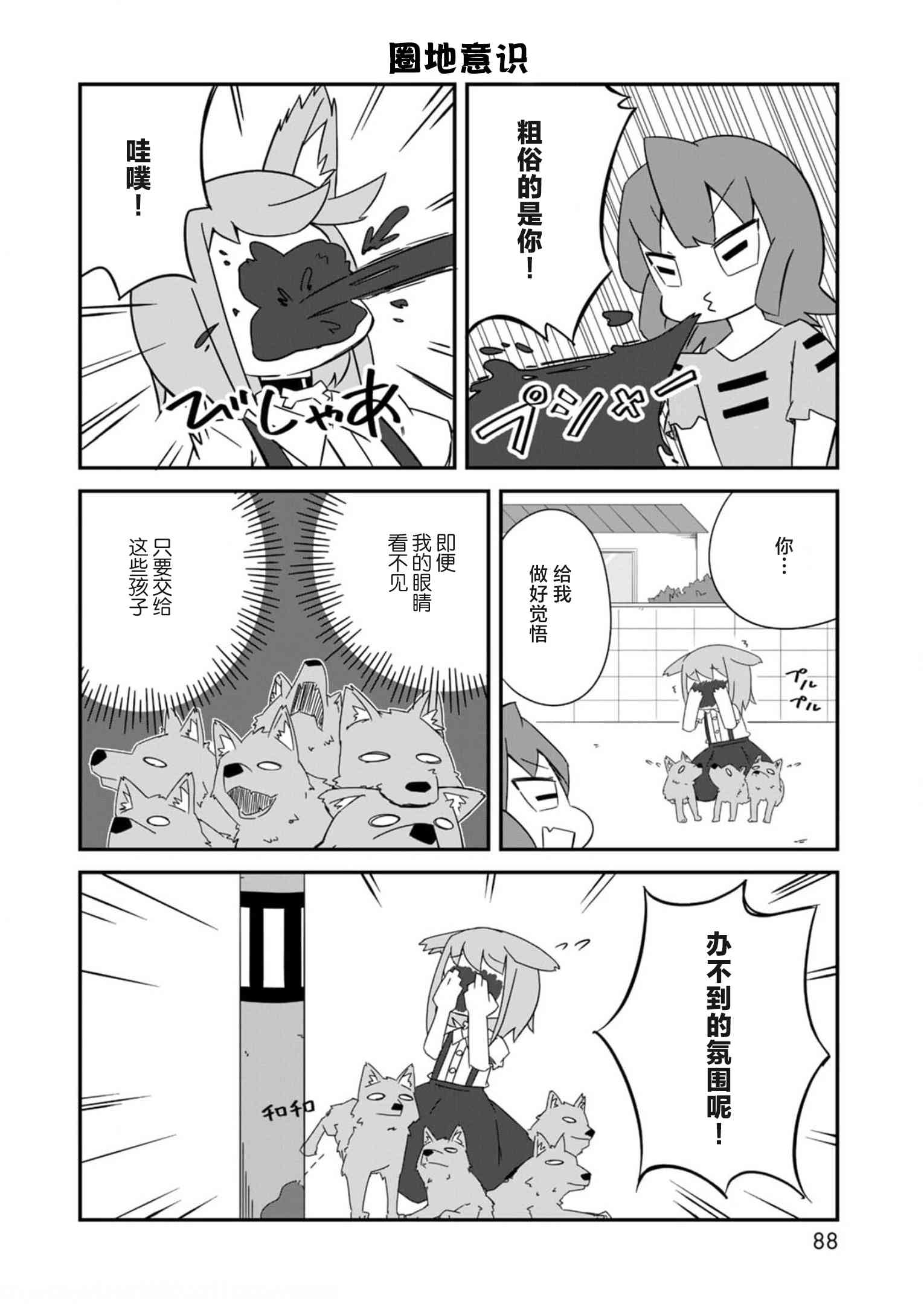 5.jpg