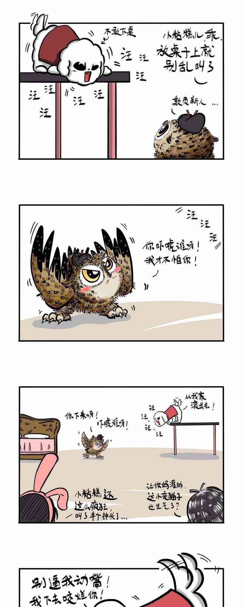 15.jpg