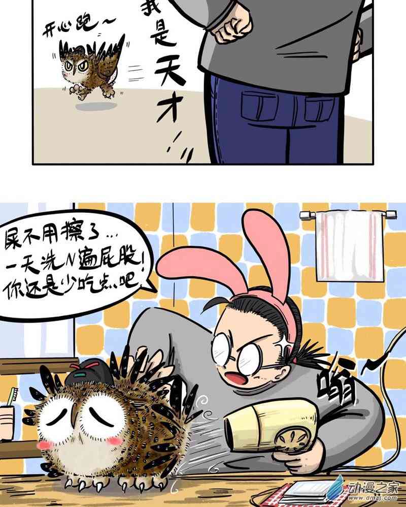 12.jpg