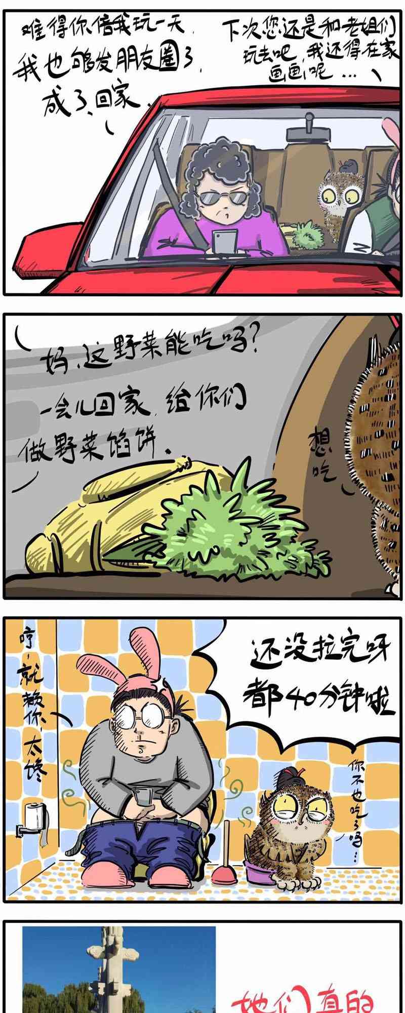 14.jpg
