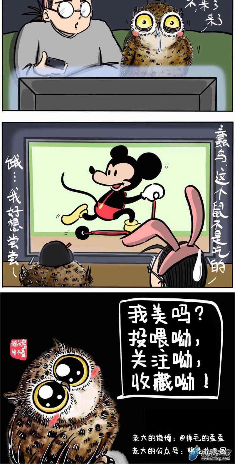 13.jpg