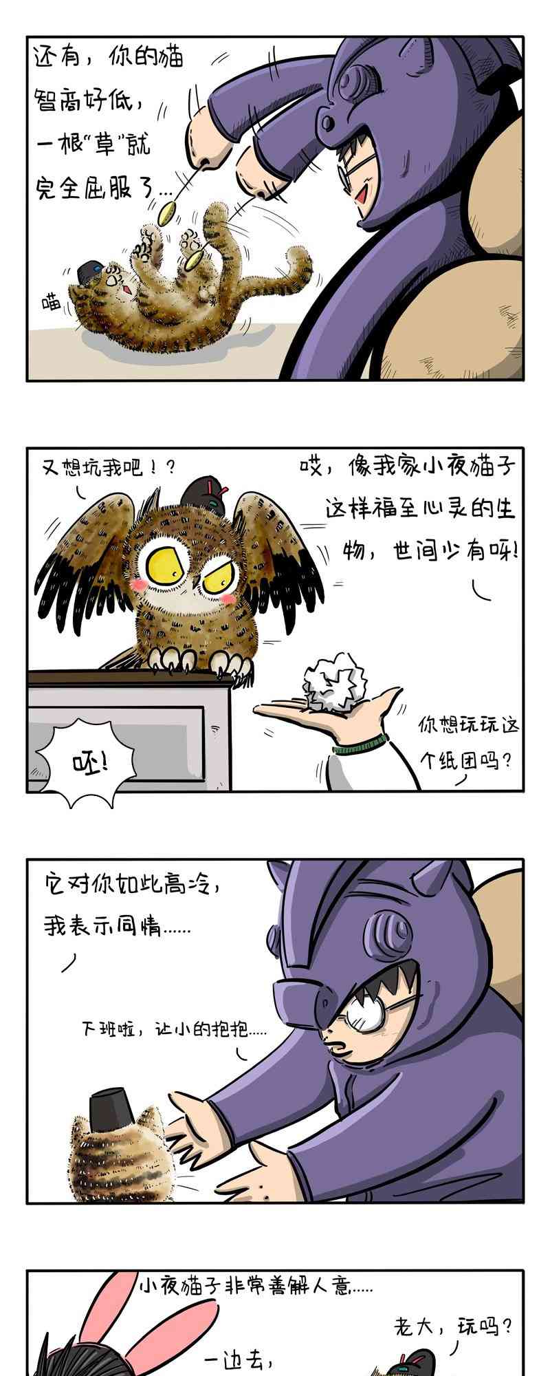12.jpg