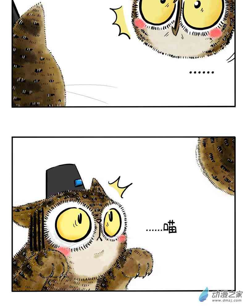 15.jpg
